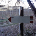 O667-ldp009-01-d02-240114-ED (95 visite) O667-ldp009-01-d02-240114-ED