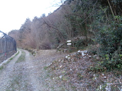 O667-ldp009-01-p01-240114-ED