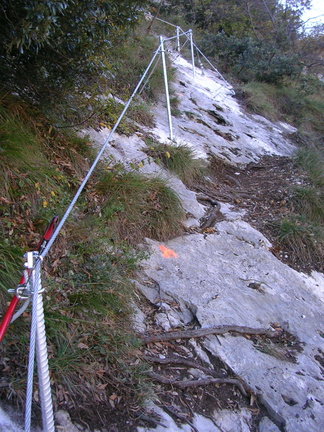 O667-061102-LB-01 (63 visite) O667-061102-LB-01