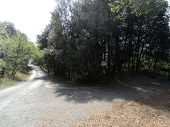 O668-ldp003-000-p01-170407