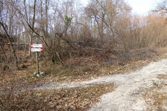 O668-ldp006-00-p02-160320-IC