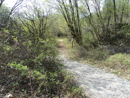 O668-ldp006-000-p01-170407