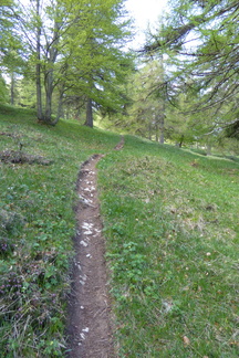 O668-Pista-downhill-02-160516