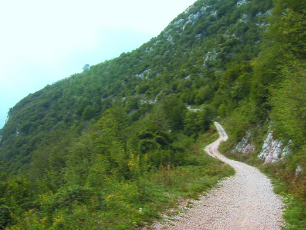 O669-BCalza-PerSchivazappa