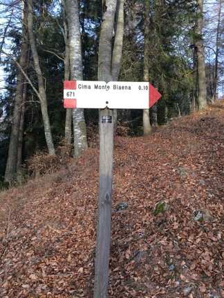 O671-ldp004-01-d01-190122-OB (45 visite) O671-ldp004-01-d01-190122-OB
