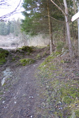 O672-001-00-p19-170217