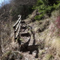 O673-02-170328-ED-04742 (44 visite) O673-02-170328-ED-04742