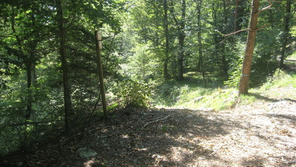 O680-ldp003-02-p2-170824-2062