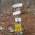 O680-ldp004-00-d02-201127-MP