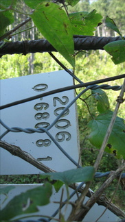 O680-ldp008-00-d2-170824-FB-2127