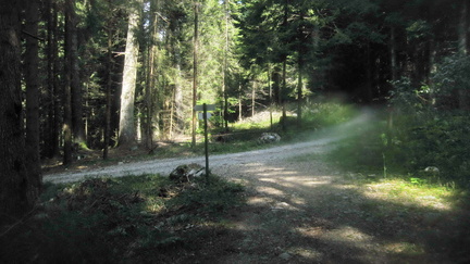 O680-ldp011-00-p4-170824-FB-1869