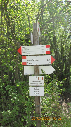 O682-ldp001-00-d01-200502-GT