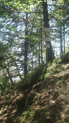 O682-ldp003-00-p1-170824-FB-2097