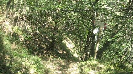 O682-ldp003-00-p4-170824-FB-2105