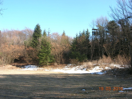 O682-160319-0256