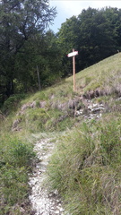 O685-ldp001-00-p1-170803-GM