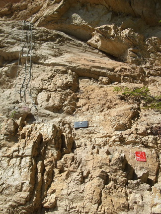 O685-070707-AZ-02 (169 visite) O685-070707-AZ-02