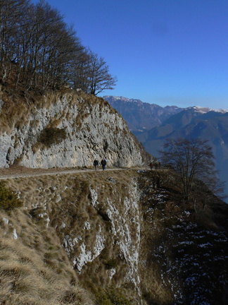 O686-170129-CC-1 (135 visite) O686-170129-CC-1