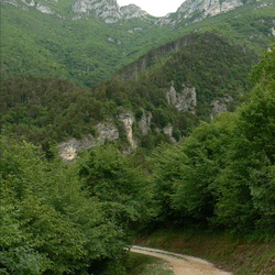 sentiero