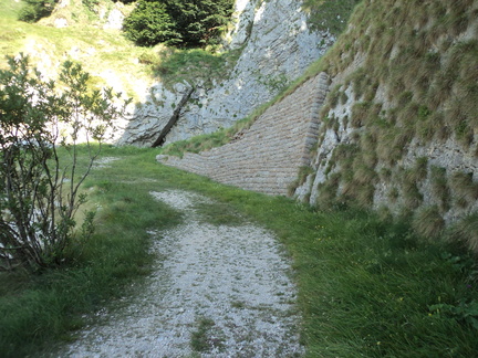 O686-170620-GM-05330