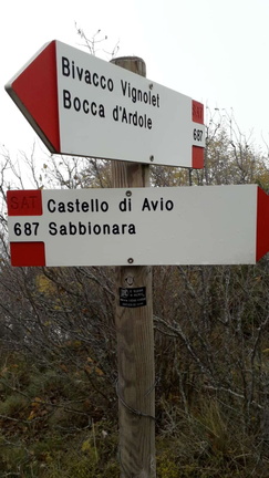 O687-ldp005-00-d01-181108-GM (140 visite) O687-ldp005-00-d01-181108-GM