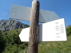 O687-ldp005-00-d2-170612-GM