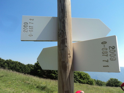 O687-ldp007-00-d2-170612-GM