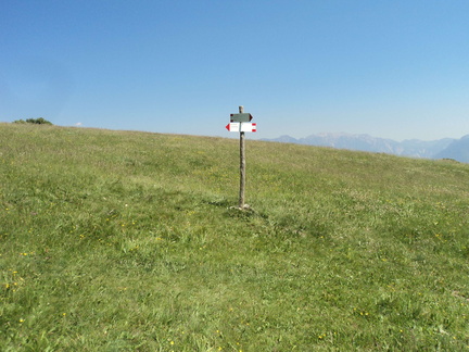 O687-ldp008-00-p1-170612-GM