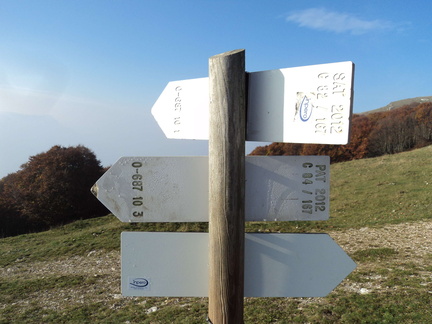 O687-ldp010-00-d2-171012-TD-05447