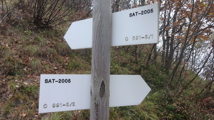 O691-ldp003-00-d03-161118-ED