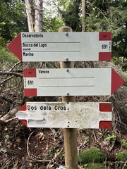 O691-ldp006-20-d01-240928-ED