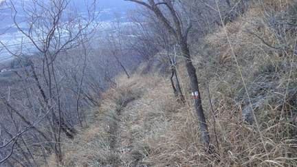 O693-161227-ED-04153