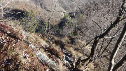 O693-161227-ED-04157