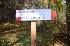 O6SFO-ldp429-00-d01-181112-ED