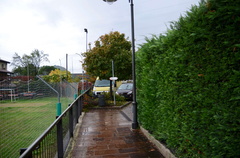 O6SVB-015-00-p01-181106-ED