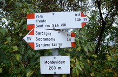 O6SVB-020-00-d01-181106-ED