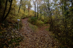 O6SVB-032-00-p01-181106-ED