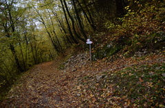 O6SVB-032-00-p02-181106-ED